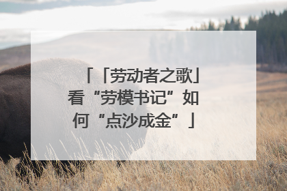 「劳动者之歌」看“劳模书记”如何“点沙成金”